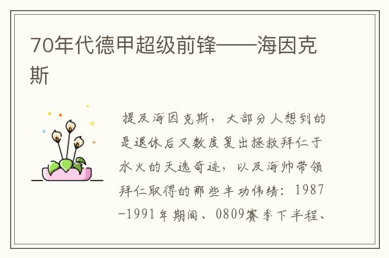 70年代德甲超级前锋——海因克斯