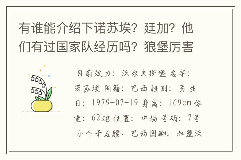 有谁能介绍下诺苏埃？廷加？他们有过国家队经历吗？狼堡厉害吗？它还有哪些明星球员？