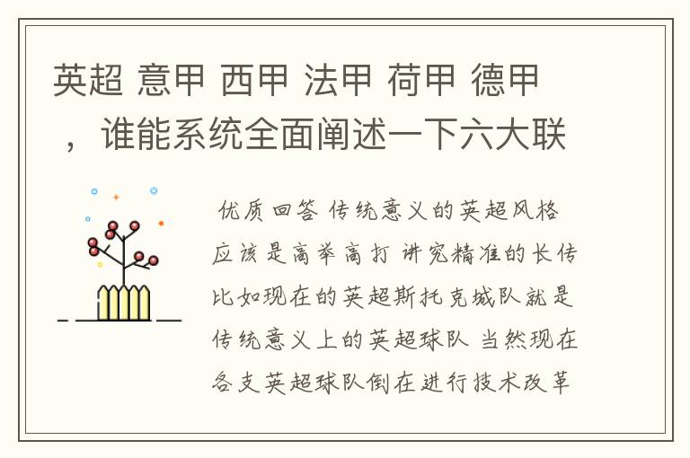 英超 意甲 西甲 法甲 荷甲 德甲 ，谁能系统全面阐述一下六大联赛风格的优缺点 ，