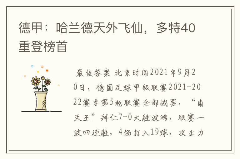 德甲：哈兰德天外飞仙，多特40重登榜首