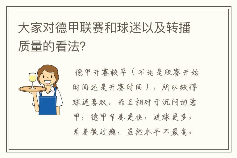 大家对德甲联赛和球迷以及转播质量的看法？