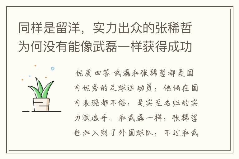 同样是留洋，实力出众的张稀哲为何没有能像武磊一样获得成功？