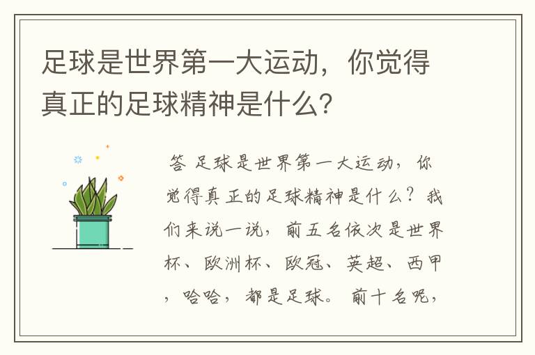 足球是世界第一大运动，你觉得真正的足球精神是什么？