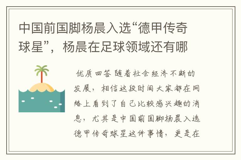 中国前国脚杨晨入选“德甲传奇球星”，杨晨在足球领域还有哪些成就？