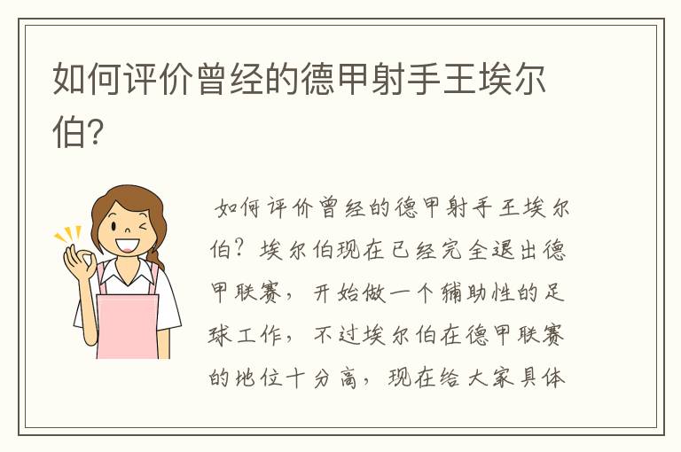 如何评价曾经的德甲射手王埃尔伯？