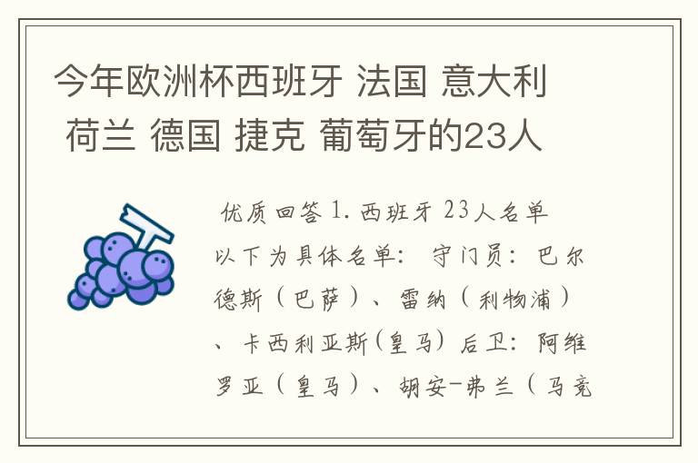 今年欧洲杯西班牙 法国 意大利 荷兰 德国 捷克 葡萄牙的23人名单