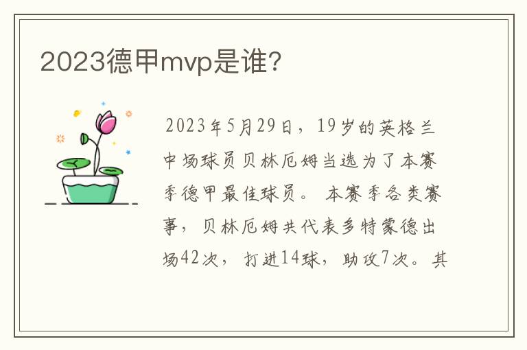 2023德甲mvp是谁?