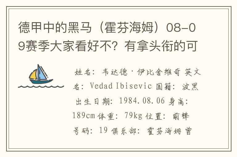 德甲中的黑马（霍芬海姆）08-09赛季大家看好不？有拿头衔的可能吗？