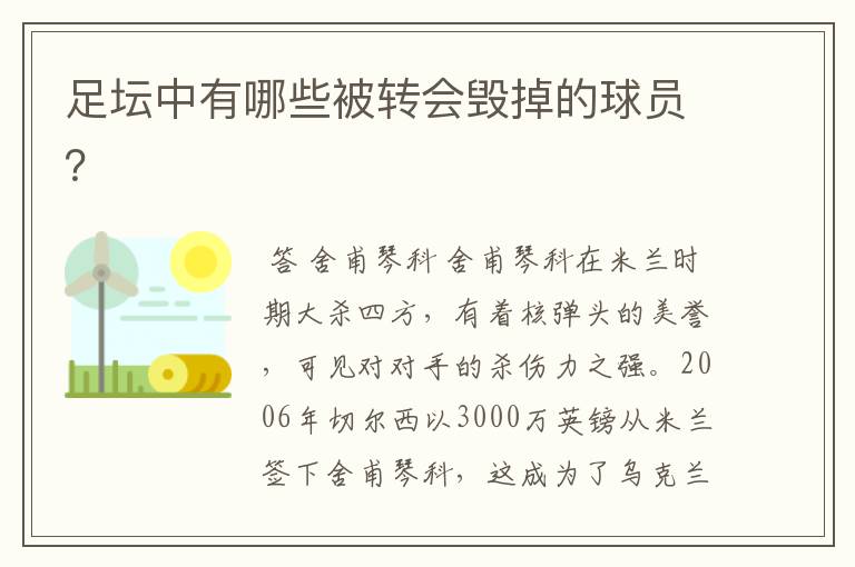 足坛中有哪些被转会毁掉的球员？