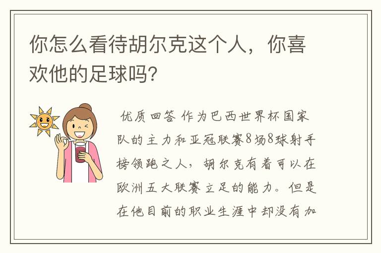 你怎么看待胡尔克这个人，你喜欢他的足球吗？