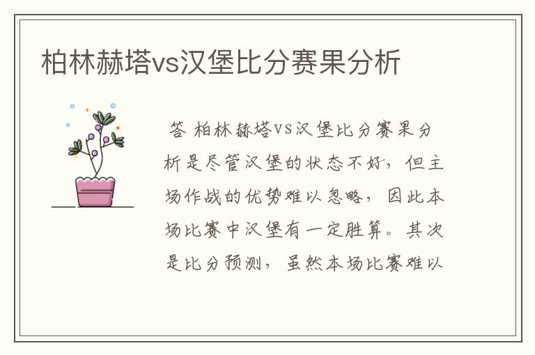 柏林赫塔vs汉堡比分赛果分析