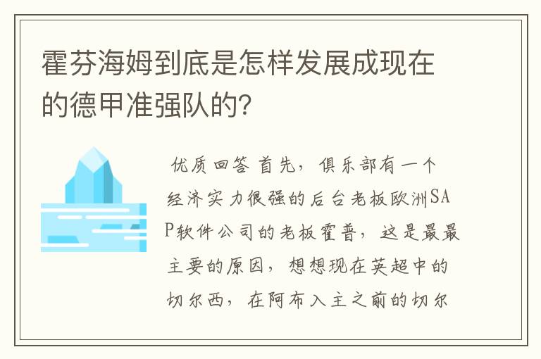 霍芬海姆到底是怎样发展成现在的德甲准强队的？