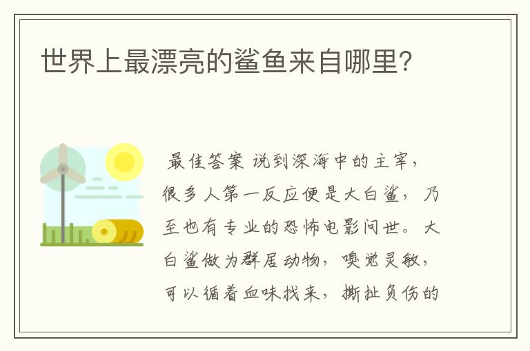 世界上最漂亮的鲨鱼来自哪里？