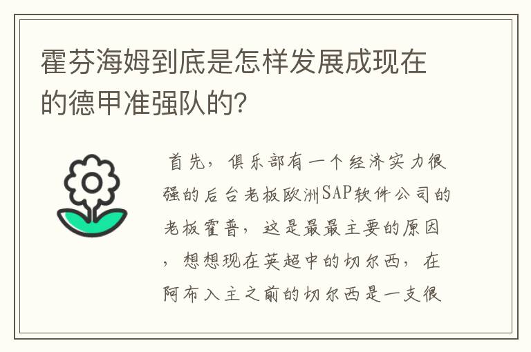 霍芬海姆到底是怎样发展成现在的德甲准强队的？