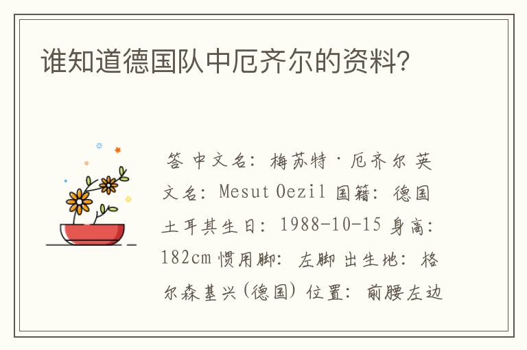 谁知道德国队中厄齐尔的资料？