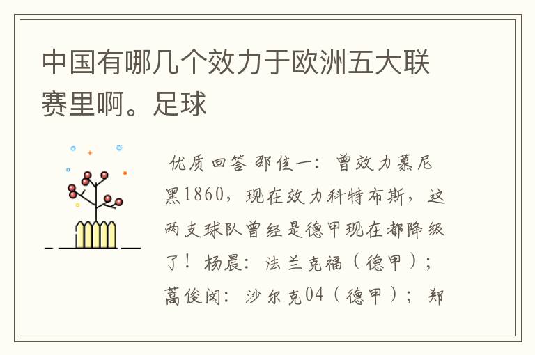 中国有哪几个效力于欧洲五大联赛里啊。足球