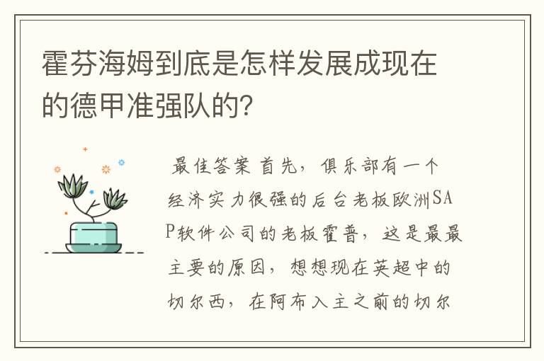 霍芬海姆到底是怎样发展成现在的德甲准强队的？