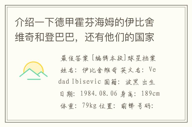 介绍一下德甲霍芬海姆的伊比舍维奇和登巴巴，还有他们的国家队履历