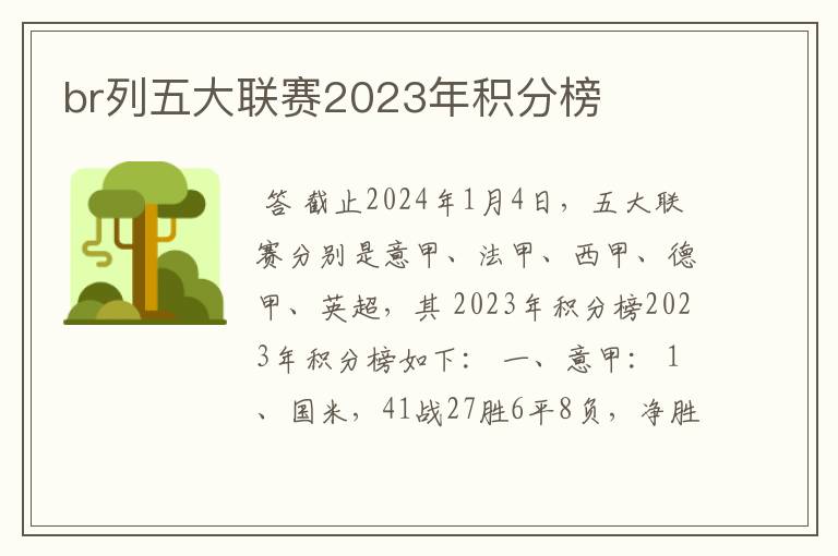 br列五大联赛2023年积分榜