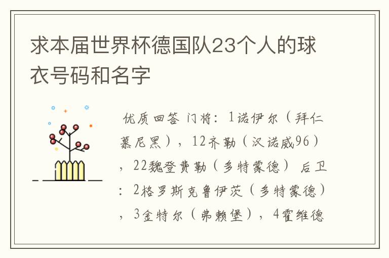 求本届世界杯德国队23个人的球衣号码和名字