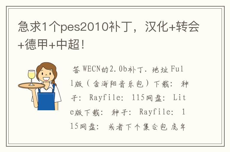 急求1个pes2010补丁，汉化+转会+德甲+中超！