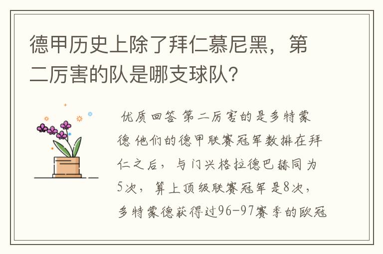 德甲历史上除了拜仁慕尼黑，第二厉害的队是哪支球队？