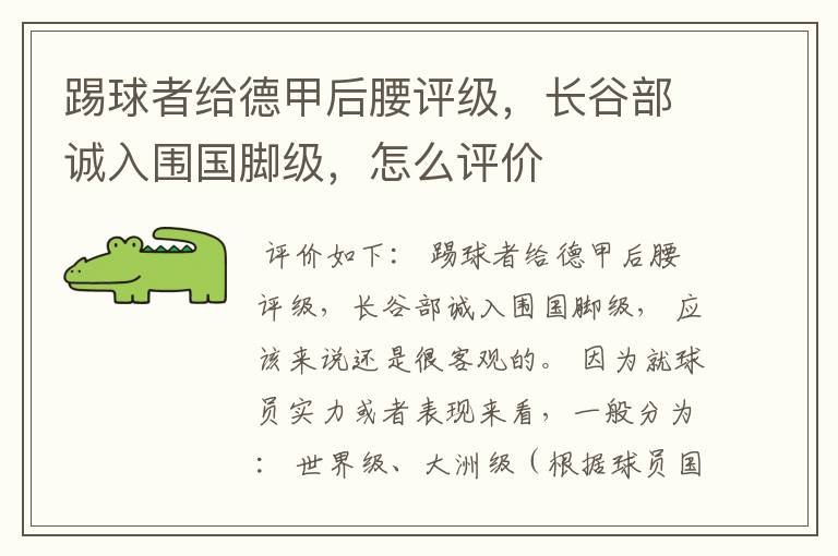 踢球者给德甲后腰评级，长谷部诚入围国脚级，怎么评价