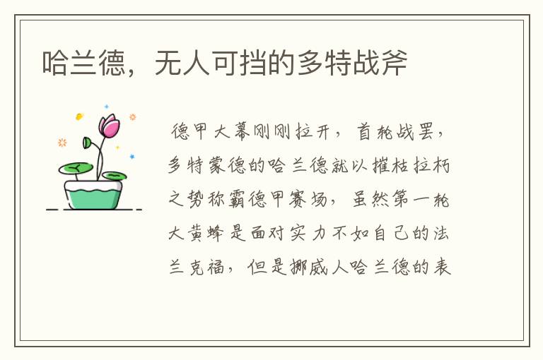 哈兰德，无人可挡的多特战斧