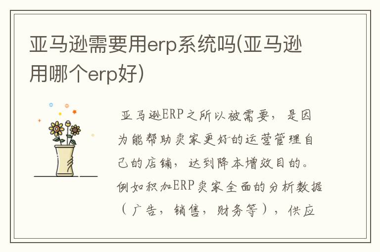 亚马逊需要用erp系统吗(亚马逊用哪个erp好)