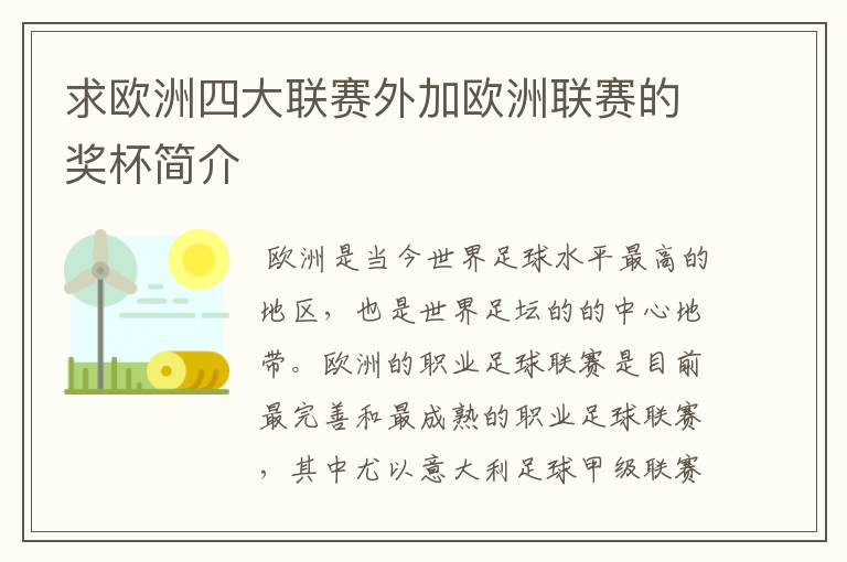 求欧洲四大联赛外加欧洲联赛的奖杯简介