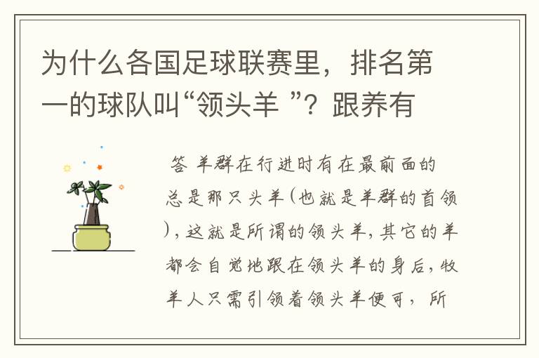 为什么各国足球联赛里，排名第一的球队叫“领头羊 ”？跟养有何关系？