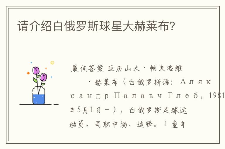 请介绍白俄罗斯球星大赫莱布？