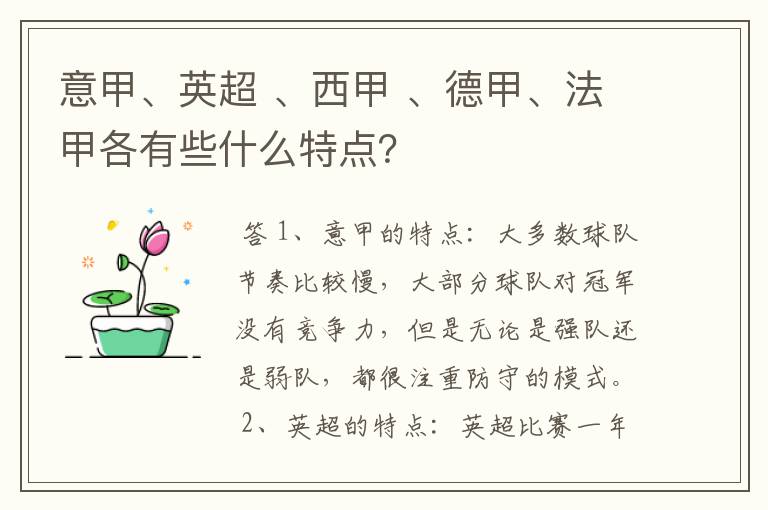 意甲、英超 、西甲 、德甲、法甲各有些什么特点？