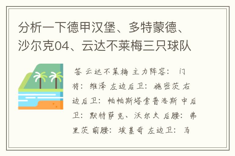 分析一下德甲汉堡、多特蒙德、沙尔克04、云达不莱梅三只球队的人员打法和阵型