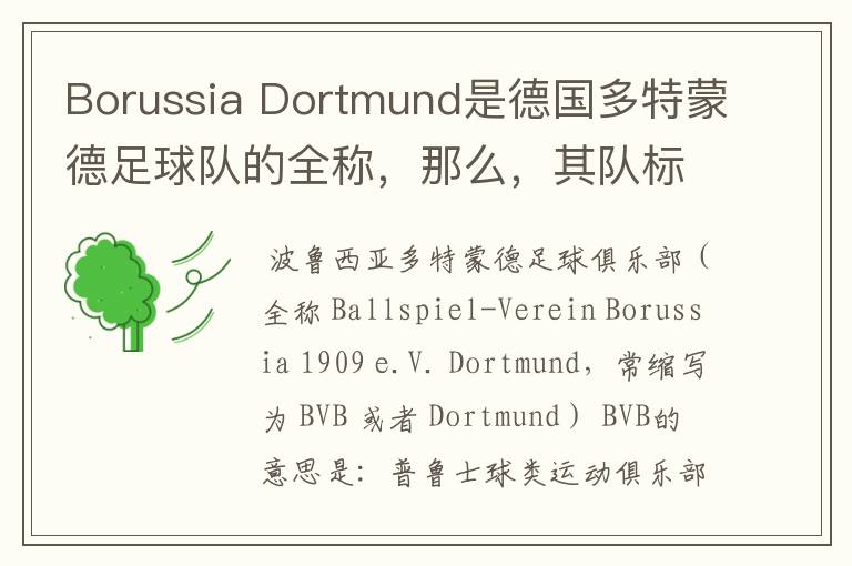 Borussia Dortmund是德国多特蒙德足球队的全称，那么，其队标上的“BVB”又代表什么or其全写是什么？