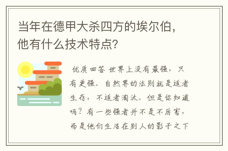 当年在德甲大杀四方的埃尔伯，他有什么技术特点？