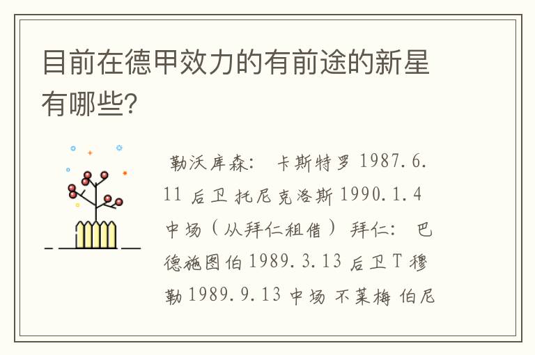 目前在德甲效力的有前途的新星有哪些？