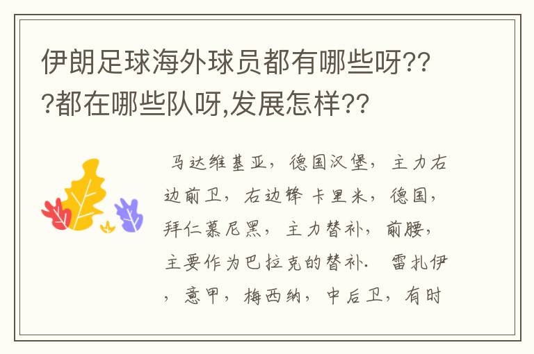 伊朗足球海外球员都有哪些呀???都在哪些队呀,发展怎样??