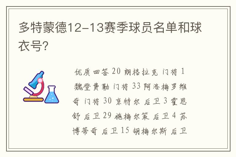 多特蒙德12-13赛季球员名单和球衣号？