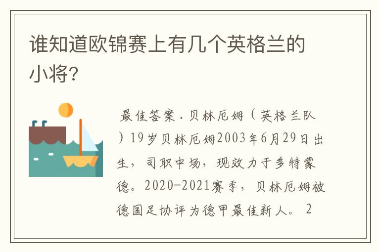 谁知道欧锦赛上有几个英格兰的小将?