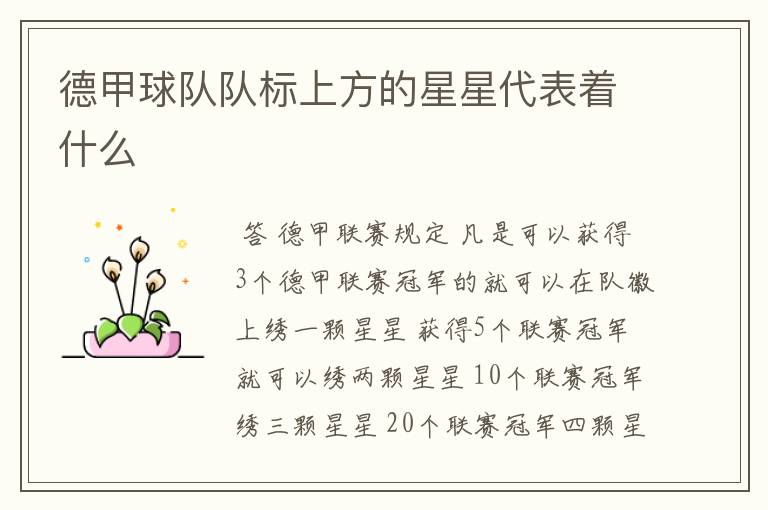 德甲球队队标上方的星星代表着什么