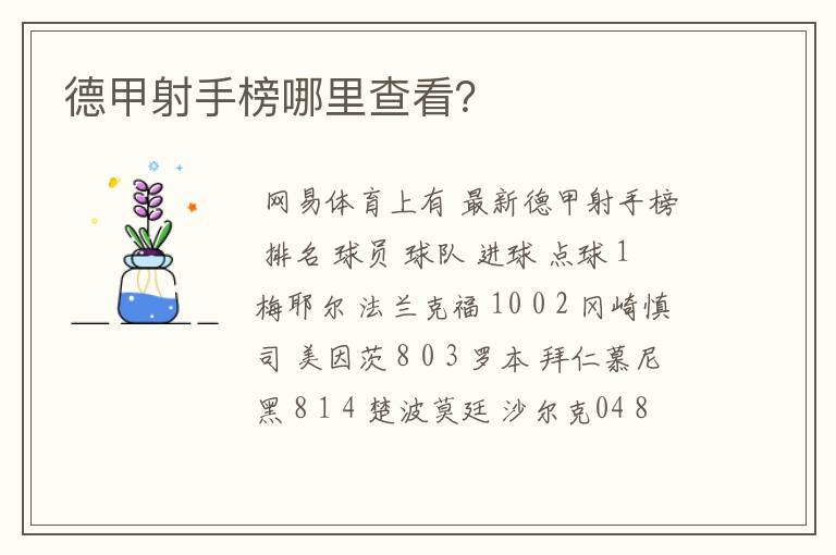 德甲射手榜哪里查看？