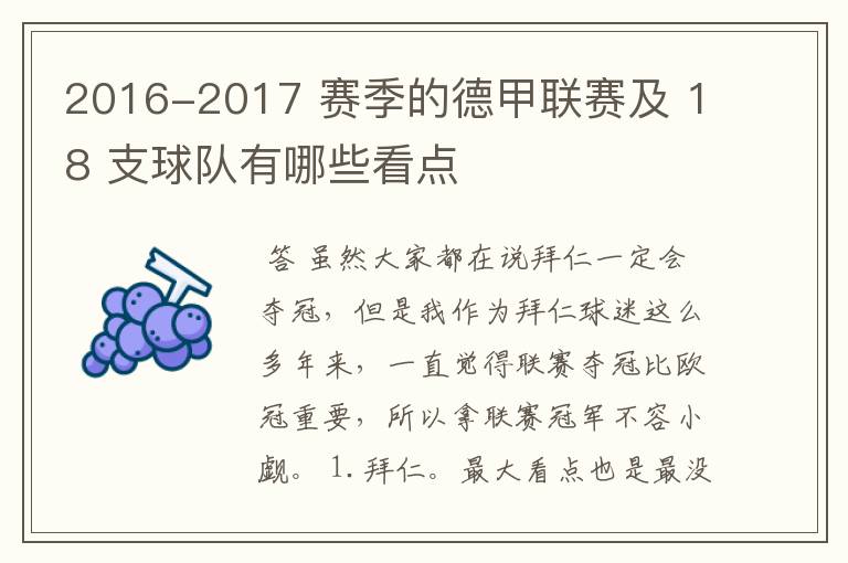 2016-2017 赛季的德甲联赛及 18 支球队有哪些看点