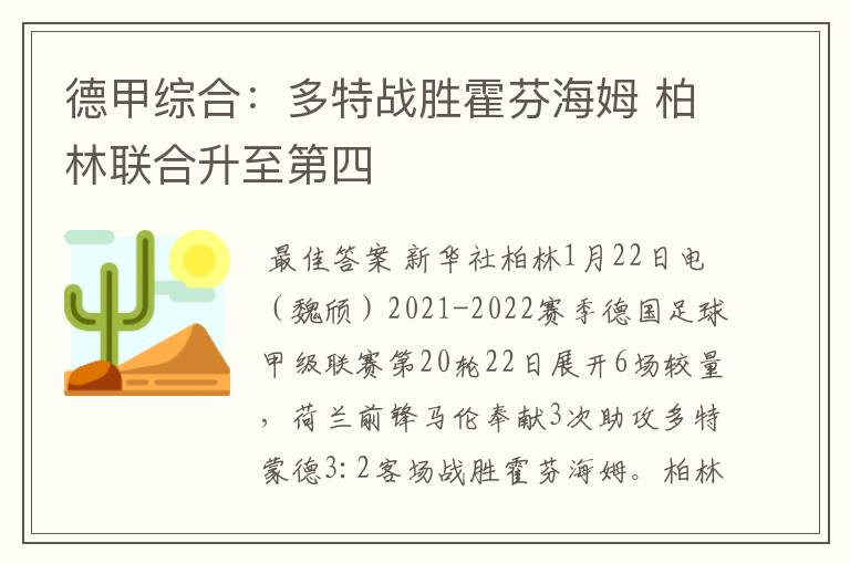 德甲综合：多特战胜霍芬海姆 柏林联合升至第四