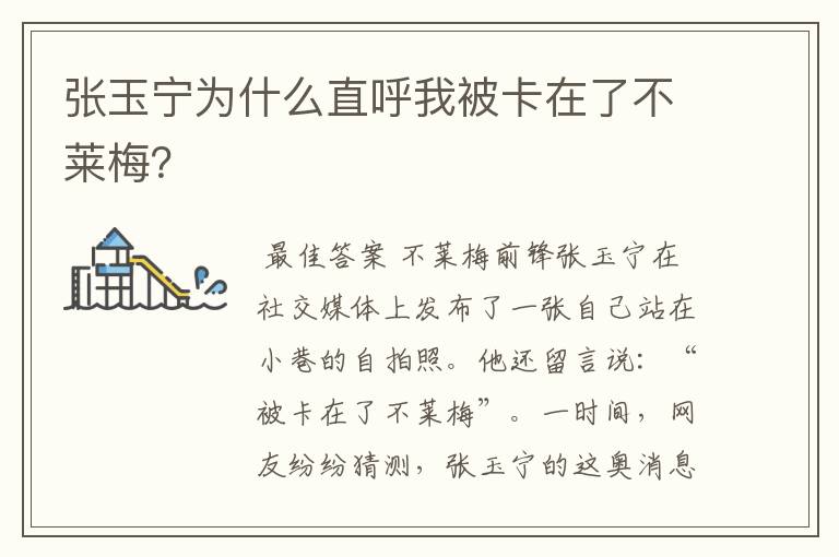 张玉宁为什么直呼我被卡在了不莱梅？