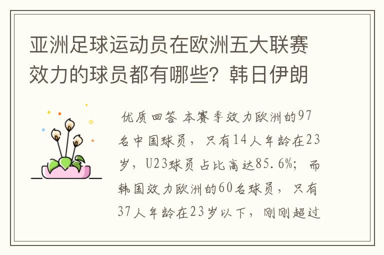 亚洲足球运动员在欧洲五大联赛效力的球员都有哪些？韩日伊朗 都是比较多吧！