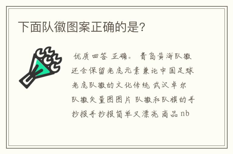 下面队徽图案正确的是?