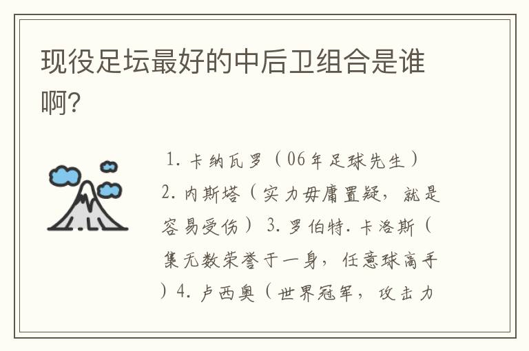 现役足坛最好的中后卫组合是谁啊？