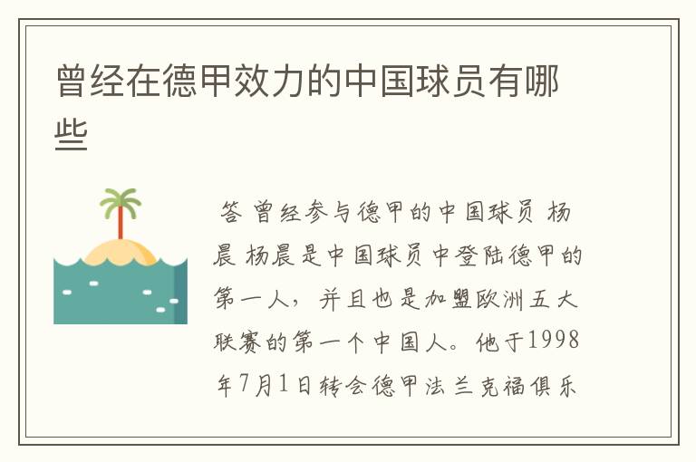 曾经在德甲效力的中国球员有哪些