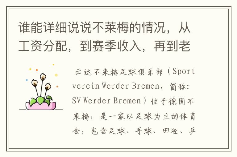 谁能详细说说不莱梅的情况，从工资分配，到赛季收入，再到老板情况以及球队历史。